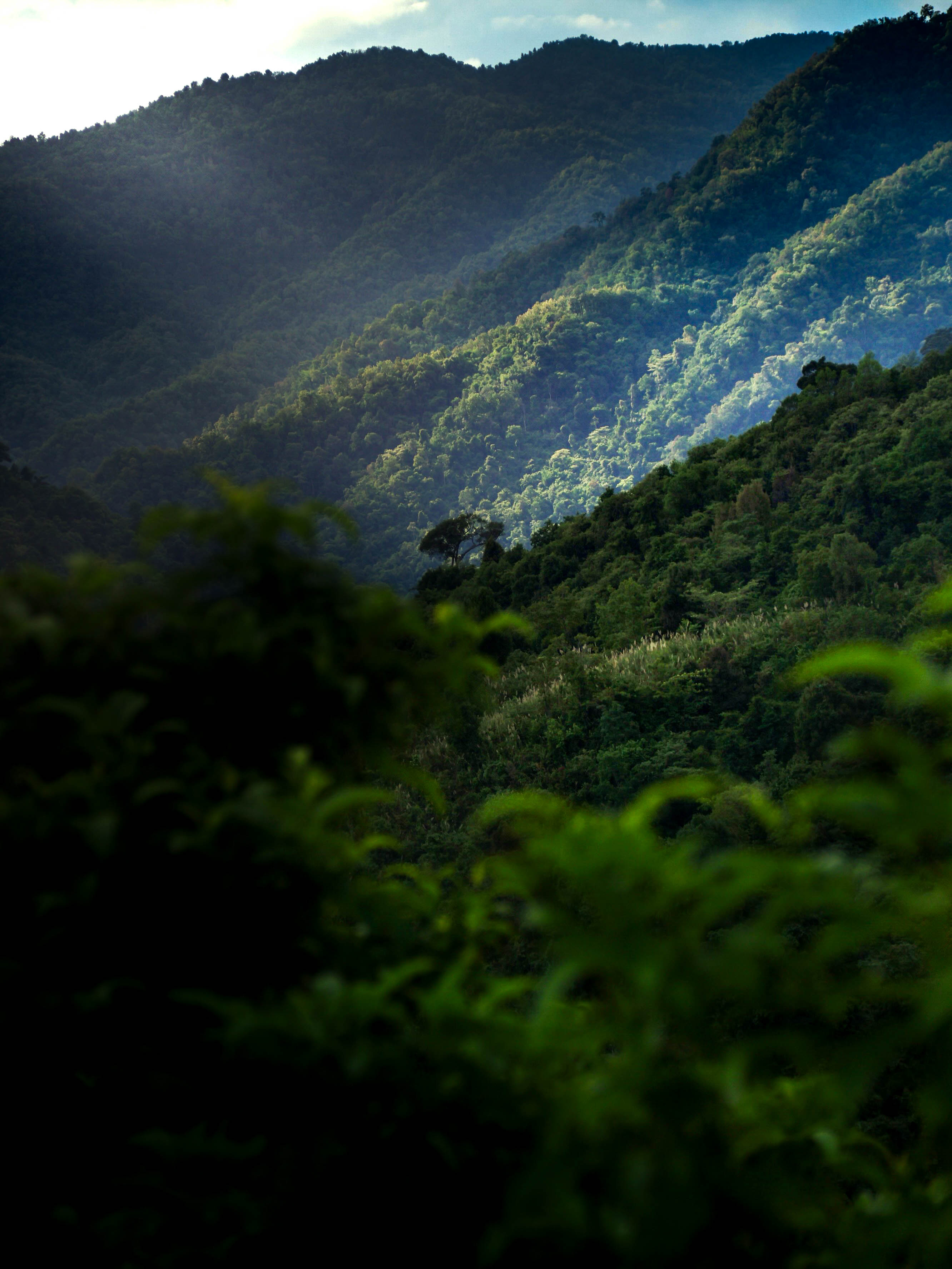 Nature